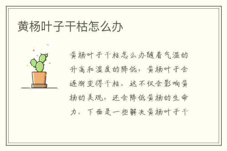 黄杨叶子干枯怎么办(黄杨叶子干枯怎么办呢)